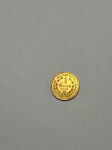 Dollaro liberty oro del - dollaro,